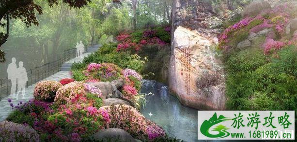 南山植物园杜鹃专项园介绍