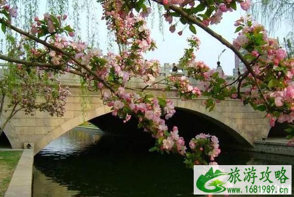 2020北京赏花时间表 地点+时间 2020北京赏花时间表 地点+时间
