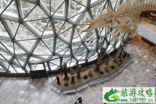 哪些博物馆恢复开放了 哪些博物馆恢复开放了