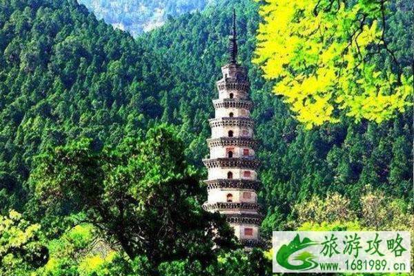 2020灵岩寺景区恢复开放 时间-范围-门票 2020灵岩寺景区恢复开放 时间-范围-门票