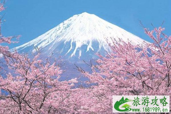 日本人口2022总人数 为什么那么多人喜欢日本旅游 日本人口2022总人数 为什么那么多人喜欢日本旅游