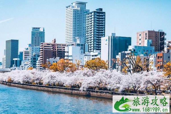 2020大阪樱花什么时候开和观赏地点推荐