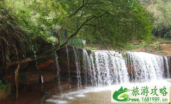 赤水四洞沟景区旅游攻略 赤水四洞沟景区旅游攻略