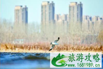 北运河副中心段2021年全线通航 北运河副中心段2021年全线通航