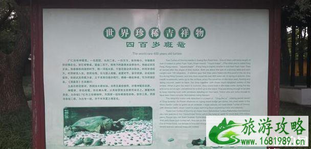 苏州西园寺开放时间2020 西园寺现在开放了吗 苏州西园寺开放时间2020 西园寺现在开放了吗
