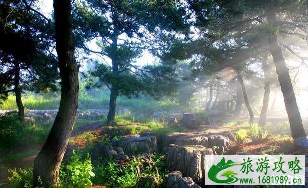 2020王莽岭景区开放时间 门票优惠免费政策 2020王莽岭景区开放时间 门票优惠免费政策