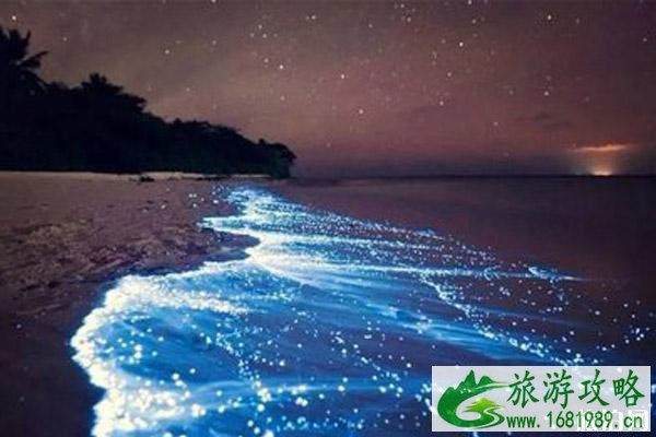 2020平潭蓝眼泪时间和介绍 2020平潭蓝眼泪时间和介绍