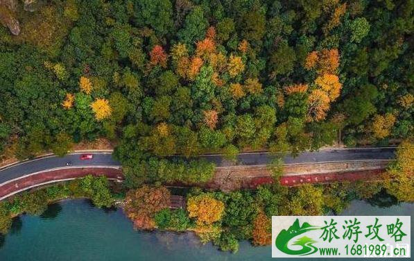 桐庐3月份免费游玩景点有哪些 桐庐3月份免费游玩景点有哪些