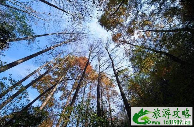 桐庐3月份免费游玩景点有哪些 桐庐3月份免费游玩景点有哪些