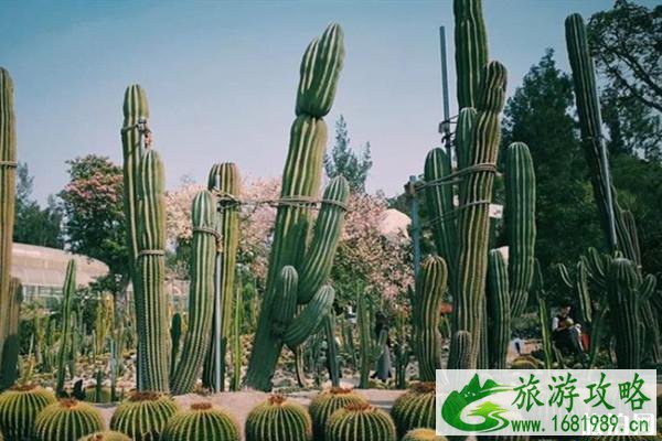 2020全国各地最佳旅游时间表 现在去哪旅游最合适 2020全国各地最佳旅游时间表 现在去哪旅游最合适