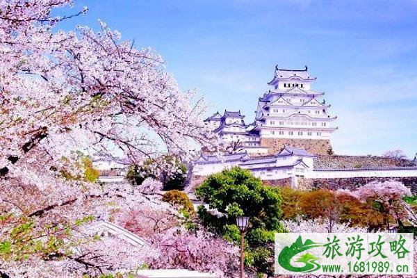 2020日本樱花季节是几月份 2020日本樱花季节是几月份