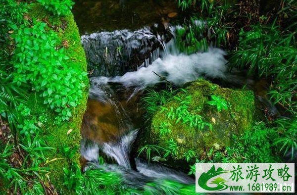 太姥山游玩攻略2020 太姥山游玩攻略2020
