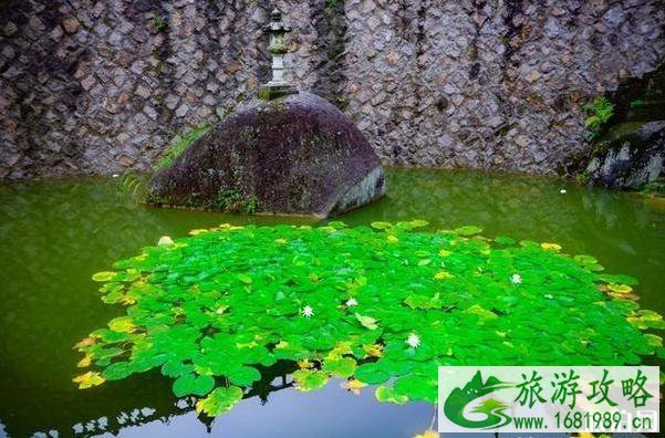 太姥山游玩攻略2020 太姥山游玩攻略2020