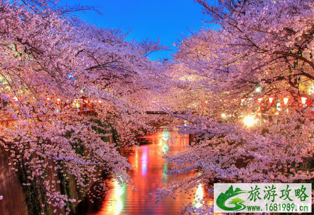 广东春天赏花景点及花期 广东春天赏花景点及花期