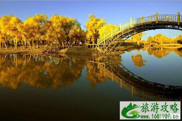 大漠胡杨林景区露营攻略 大漠胡杨林景区露营攻略