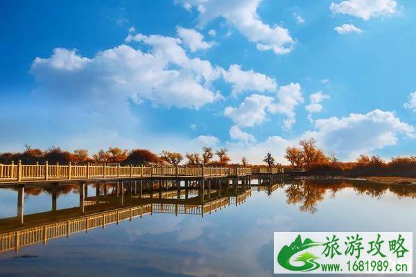 大漠胡杨林景区露营攻略 大漠胡杨林景区露营攻略