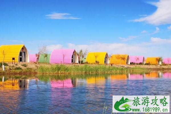 大漠胡杨林景区露营攻略 大漠胡杨林景区露营攻略