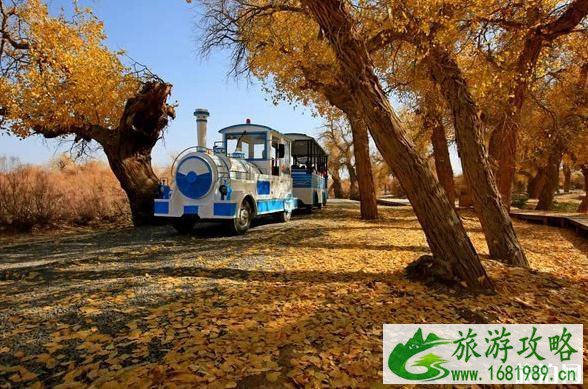大漠胡杨林在什么地方 大漠胡杨林景区旅游攻略 大漠胡杨林在什么地方 大漠胡杨林景区旅游攻略
