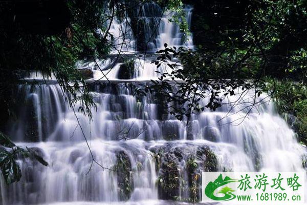 2020九龙瀑布群国家森林公园门票价格 优惠政策 2020九龙瀑布群国家森林公园门票价格 优惠政策