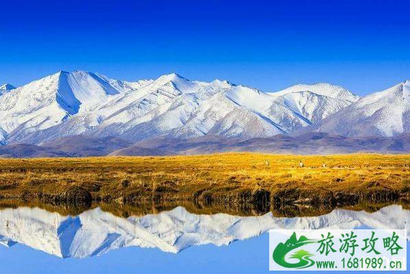 玉龙雪山蓝月谷游玩攻略