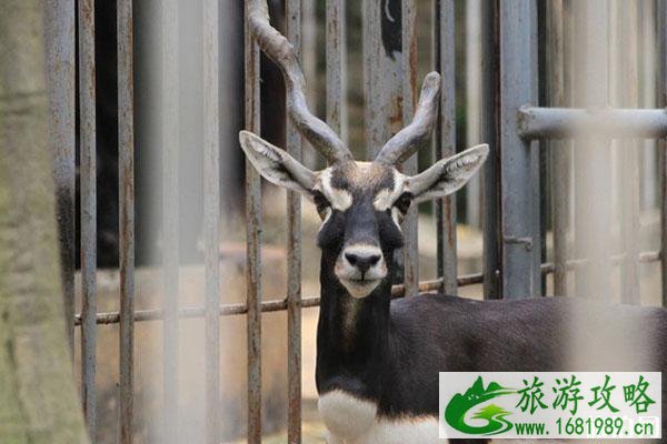 2020南宁动物园开放时间 门票-交通-停车指南