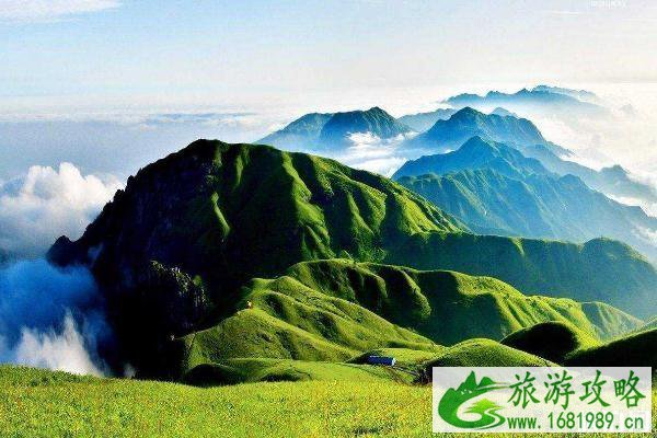 为什么景区现在就开放了 2月份为何开放这么多景区 为什么景区现在就开放了 2月份为何开放这么多景区