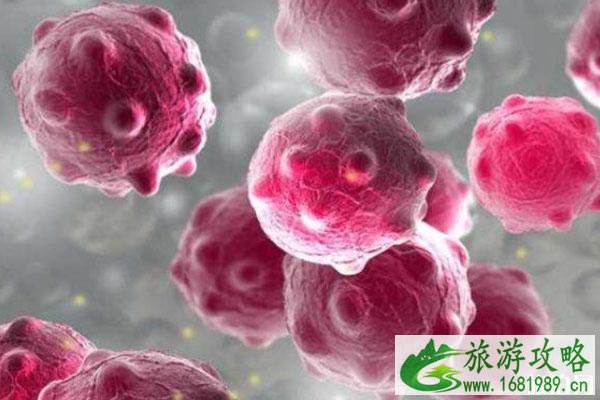 广东湖北以外入粤无需健康证明