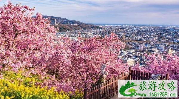 2020日本赏樱花最佳地点和时间 2020日本赏樱花最佳地点和时间