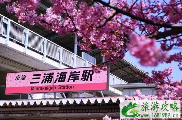 2020日本赏樱花最佳地点和时间 2020日本赏樱花最佳地点和时间