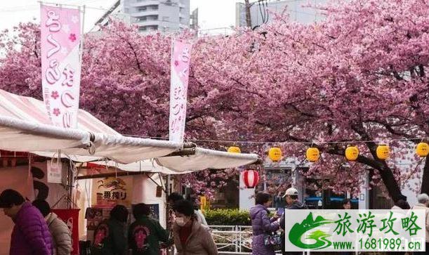 2020日本赏樱花最佳地点和时间 2020日本赏樱花最佳地点和时间