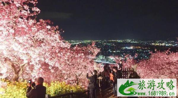 2020日本赏樱花最佳地点和时间 2020日本赏樱花最佳地点和时间