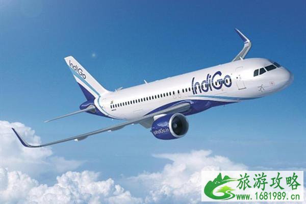 2020携程会员日有什么活动 各大航空联盟金卡优惠 2020携程会员日有什么活动 各大航空联盟金卡优惠