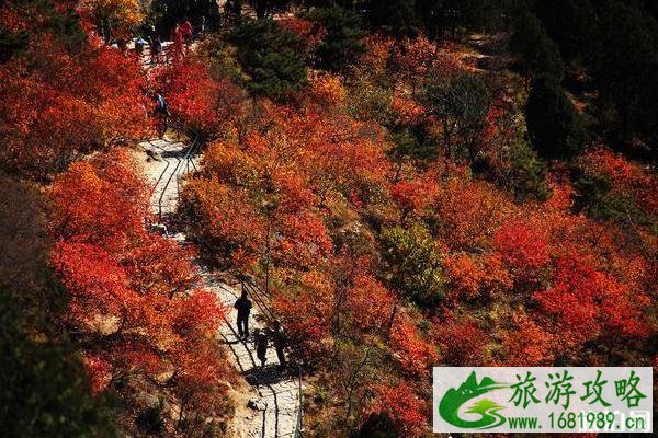 现在去香山公园人多吗 现在去香山公园人多吗