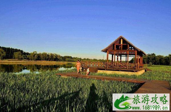 大运河森林公园要门票吗 北京大运河森林公园门票多少钱 大运河森林公园要门票吗 北京大运河森林公园门票多少钱