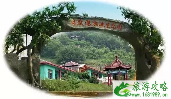洪湖市景区有哪些 洪湖市旅游景点 洪湖市景区有哪些 洪湖市旅游景点