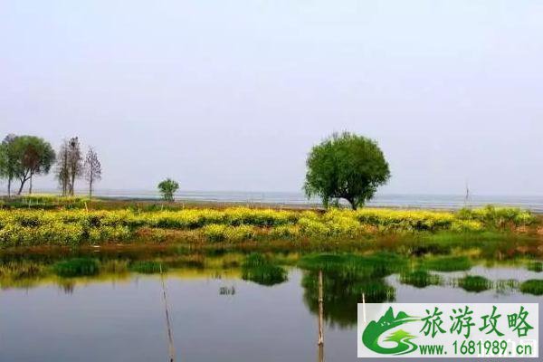 洪湖市景区有哪些 洪湖市旅游景点 洪湖市景区有哪些 洪湖市旅游景点