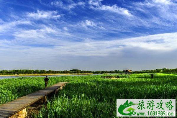 大运河森林公园要门票吗 北京大运河森林公园门票多少钱 大运河森林公园要门票吗 北京大运河森林公园门票多少钱