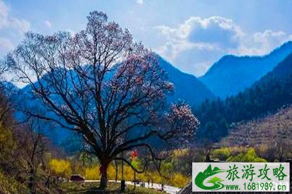 2020黑河国家森林公园对全国医护人员免费和旅游攻略