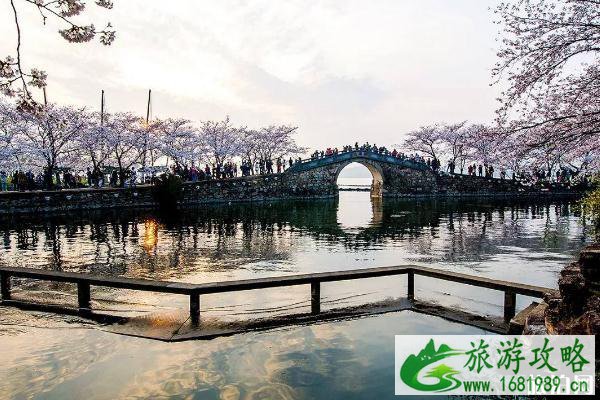 2020年鼋头渚什么时候恢复开放时间 2020年鼋头渚什么时候恢复开放时间