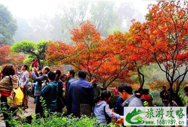 我国有哪些免费的5A景区推荐 我国有哪些免费的5A景区推荐