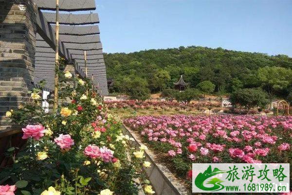 无锡龙寺生态园门票价格 怎么去