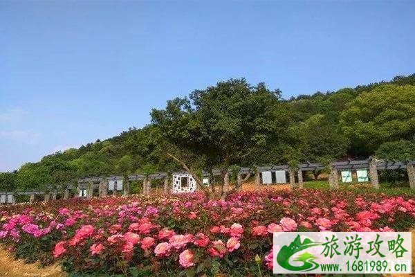 无锡龙寺生态园门票价格 怎么去