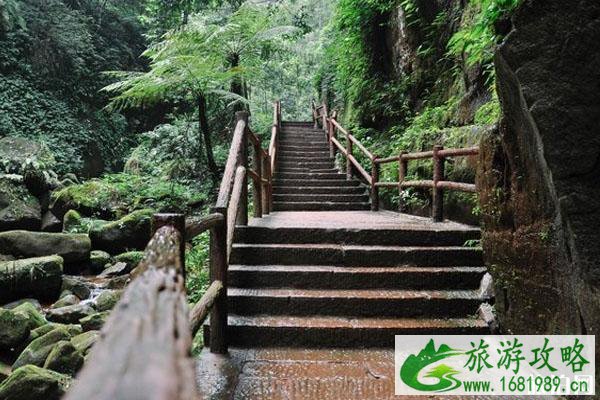 赤水佛光岩景区恢复营业 附游玩指南