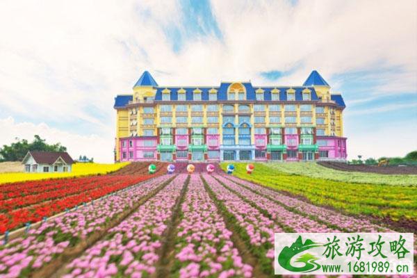 2020广州百万葵园对全体医护人员免费开放 2020广州百万葵园对全体医护人员免费开放