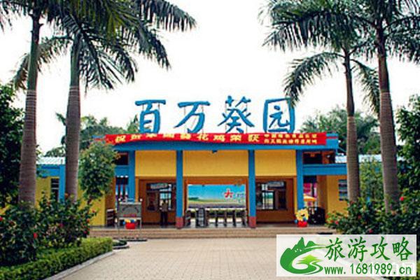 2020广州百万葵园对全体医护人员免费开放 2020广州百万葵园对全体医护人员免费开放