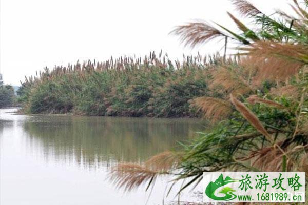 南沙湿地公园对全体医护人员免费开放 南沙湿地公园对全体医护人员免费开放