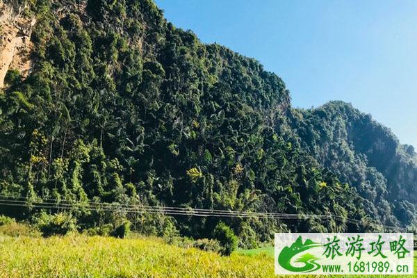 2020临沧旅游景点对全国医护人员免费时间和景点推荐
