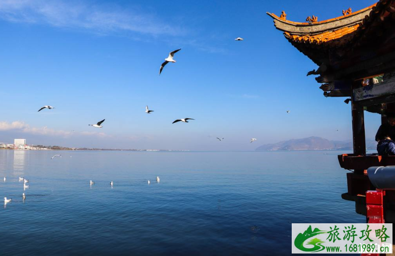 洱海有哪些景点 洱海环海指南 洱海有哪些景点 洱海环海指南