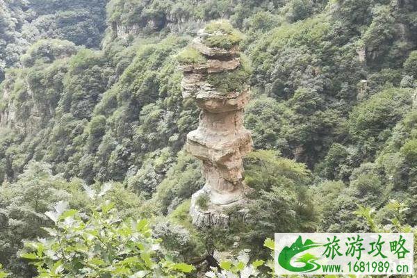 如果景点都免费游客人数会增多吗 如果景点都免费游客人数会增多吗