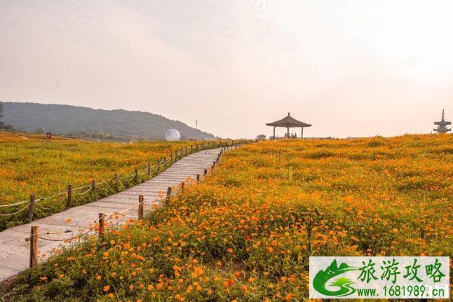 拈花湾景区对全国医护工作者免费门票政策 拈花湾景区对全国医护工作者免费门票政策